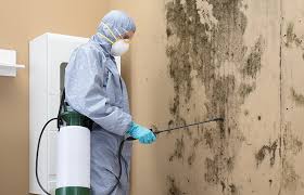 Best Dehumidification Services in Corydon, IN